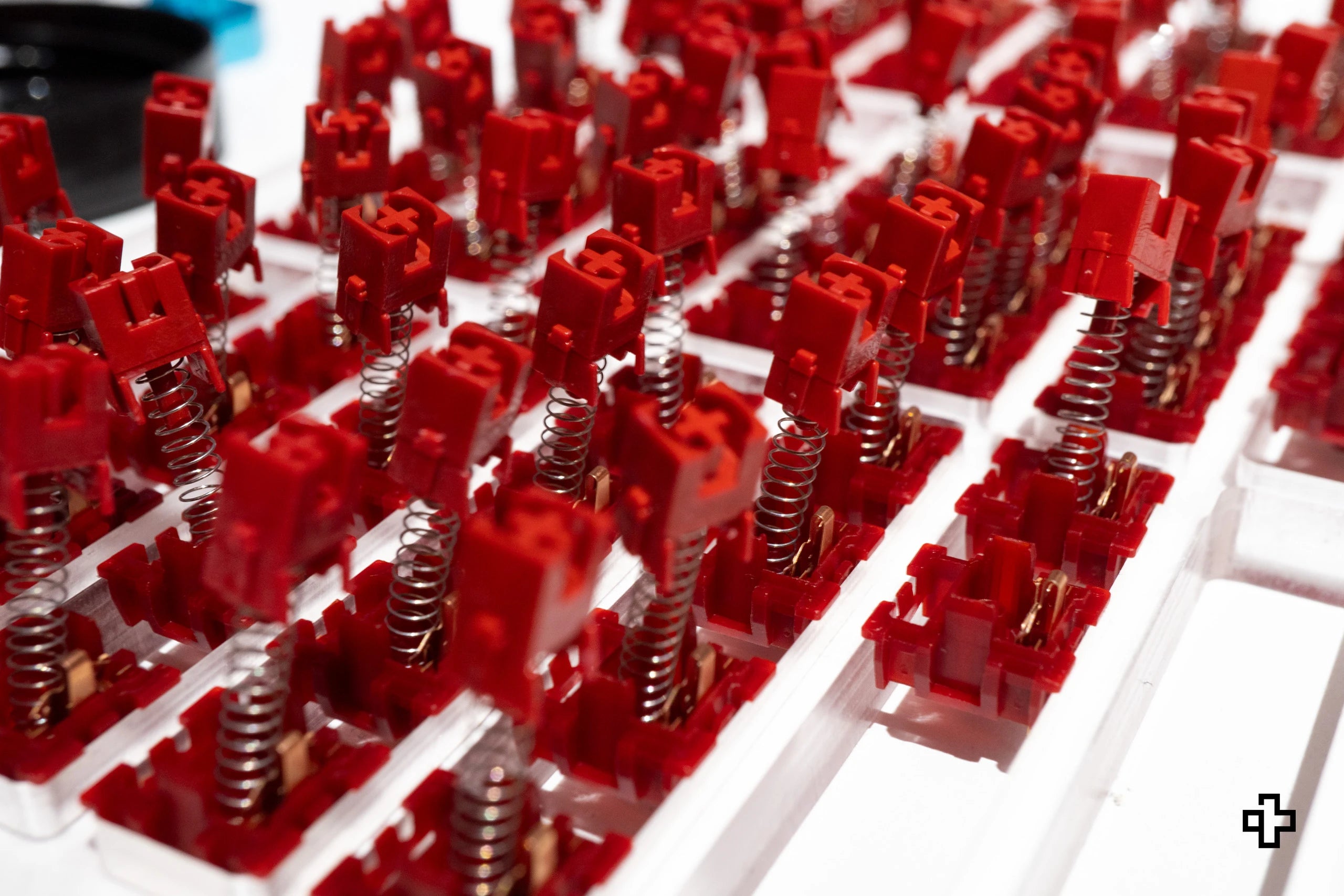 Lubrificazione Switch 100%