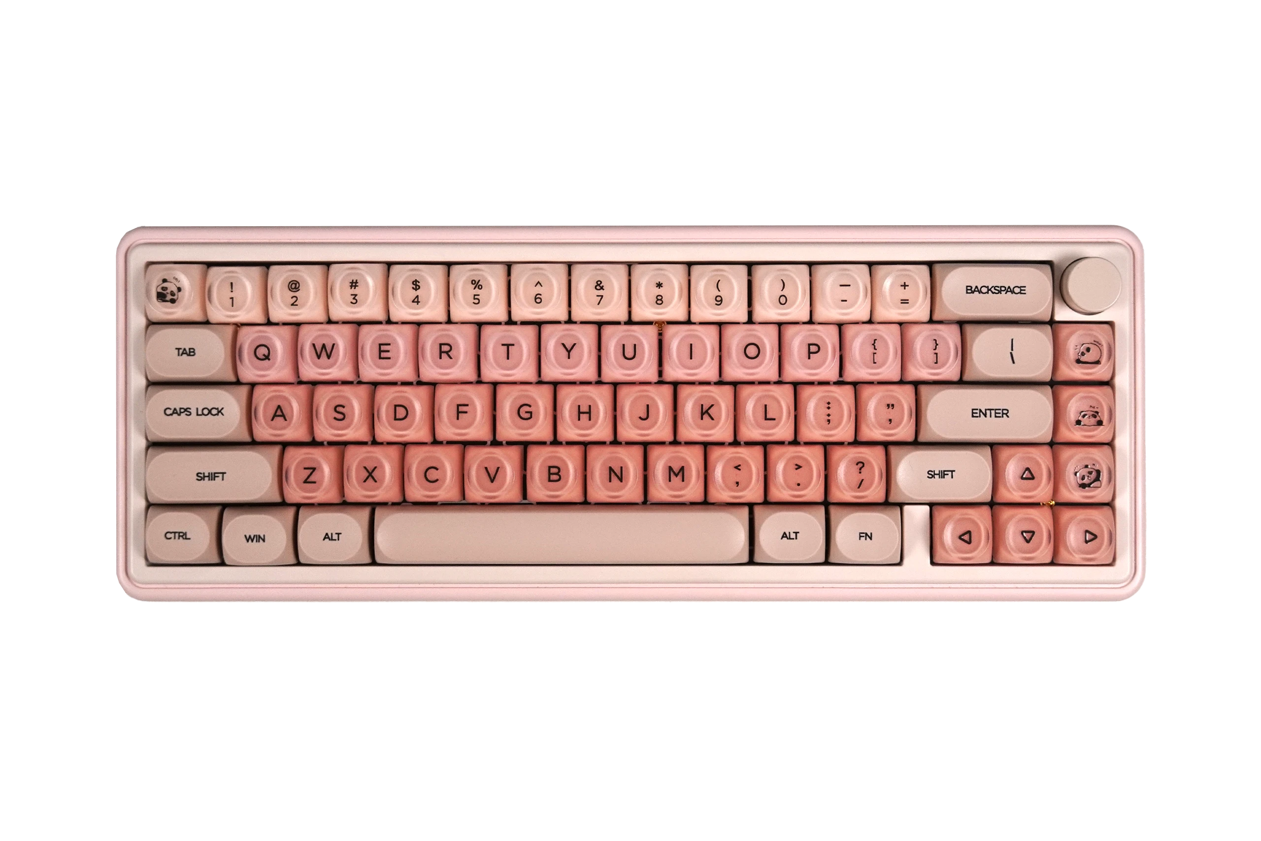 Set de sabor QwertyKey crema de melocotón perfil HOA