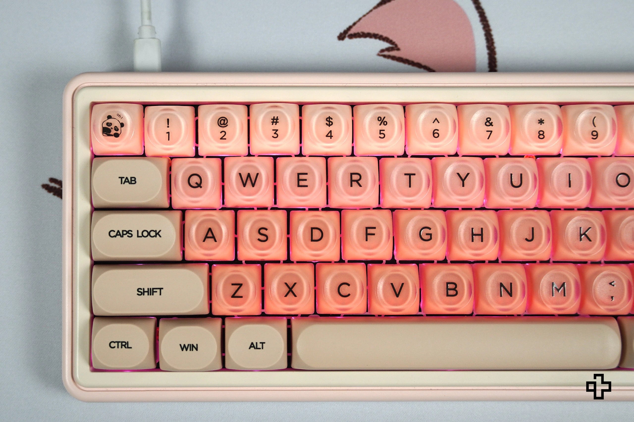 Set de sabor QwertyKey crema de melocotón perfil HOA