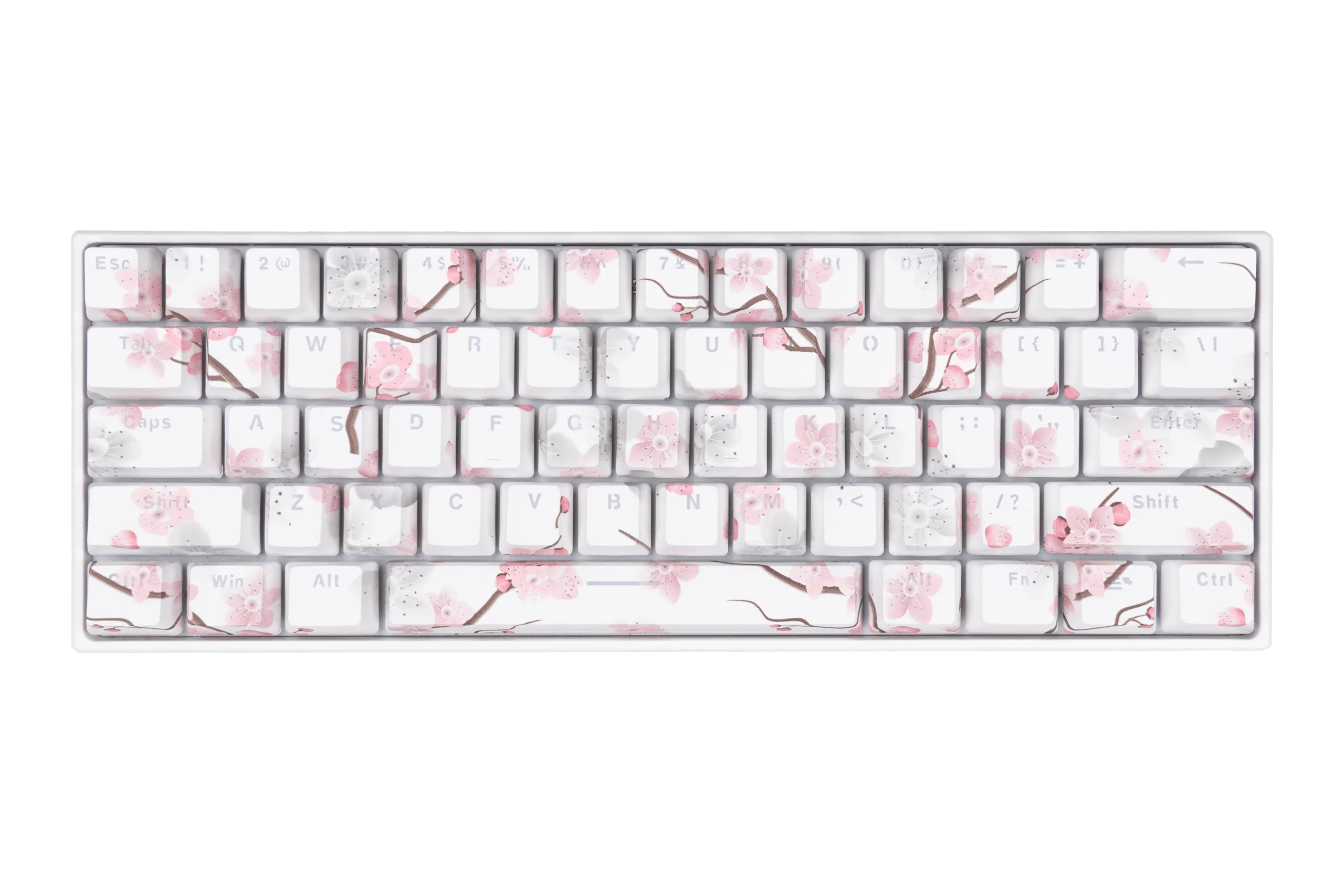 Set Taste Sakura Translucide Profil OEM Matériau ABS double tir