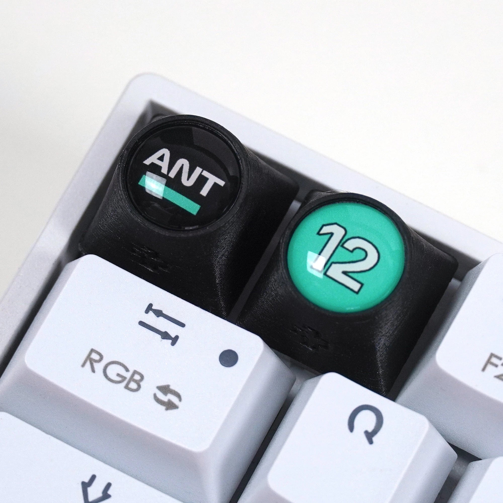 Artisan F1 - ANT + NR. 12