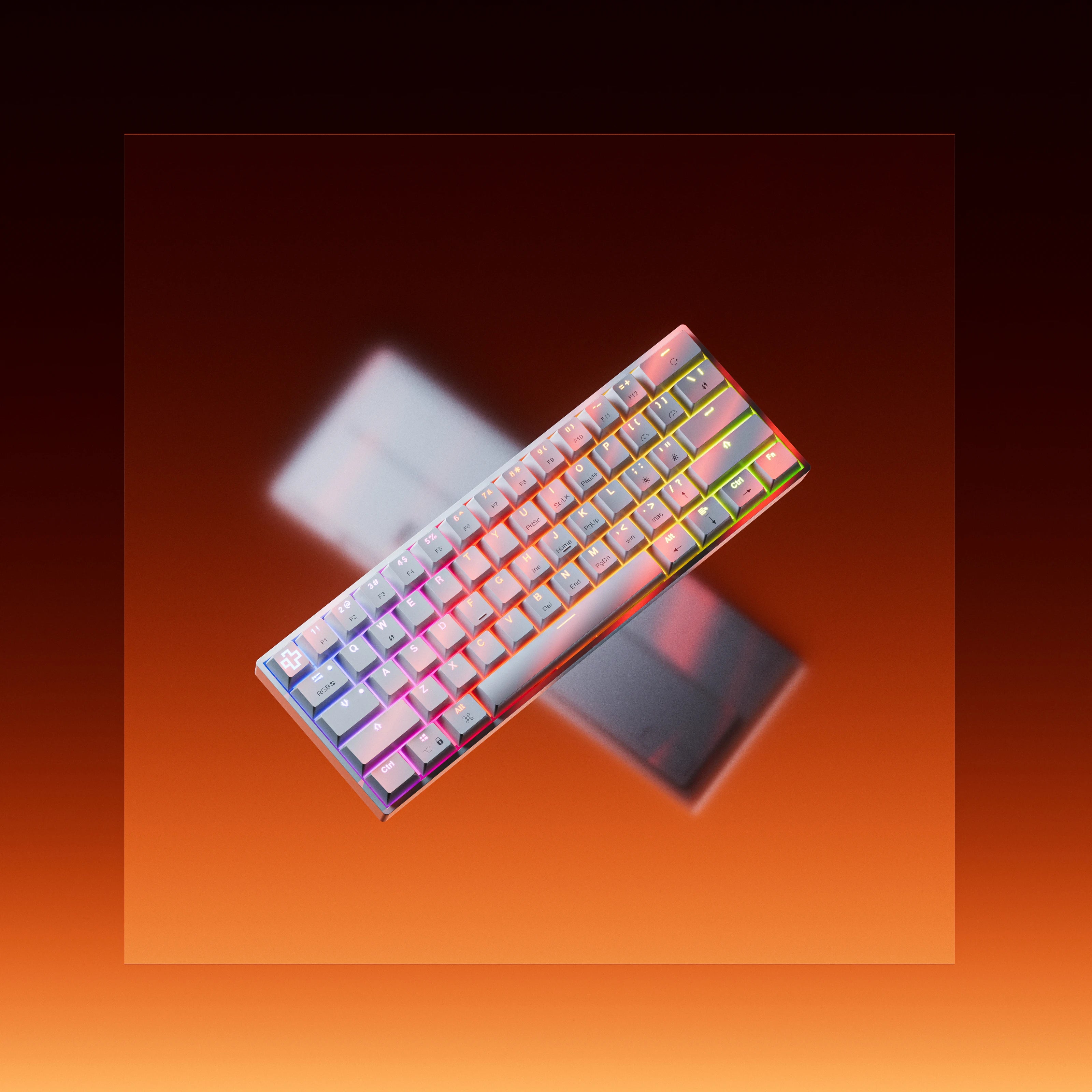 Clavier Mécanique Gaming QwertyKey H61 Split Alba Hotswap RGB