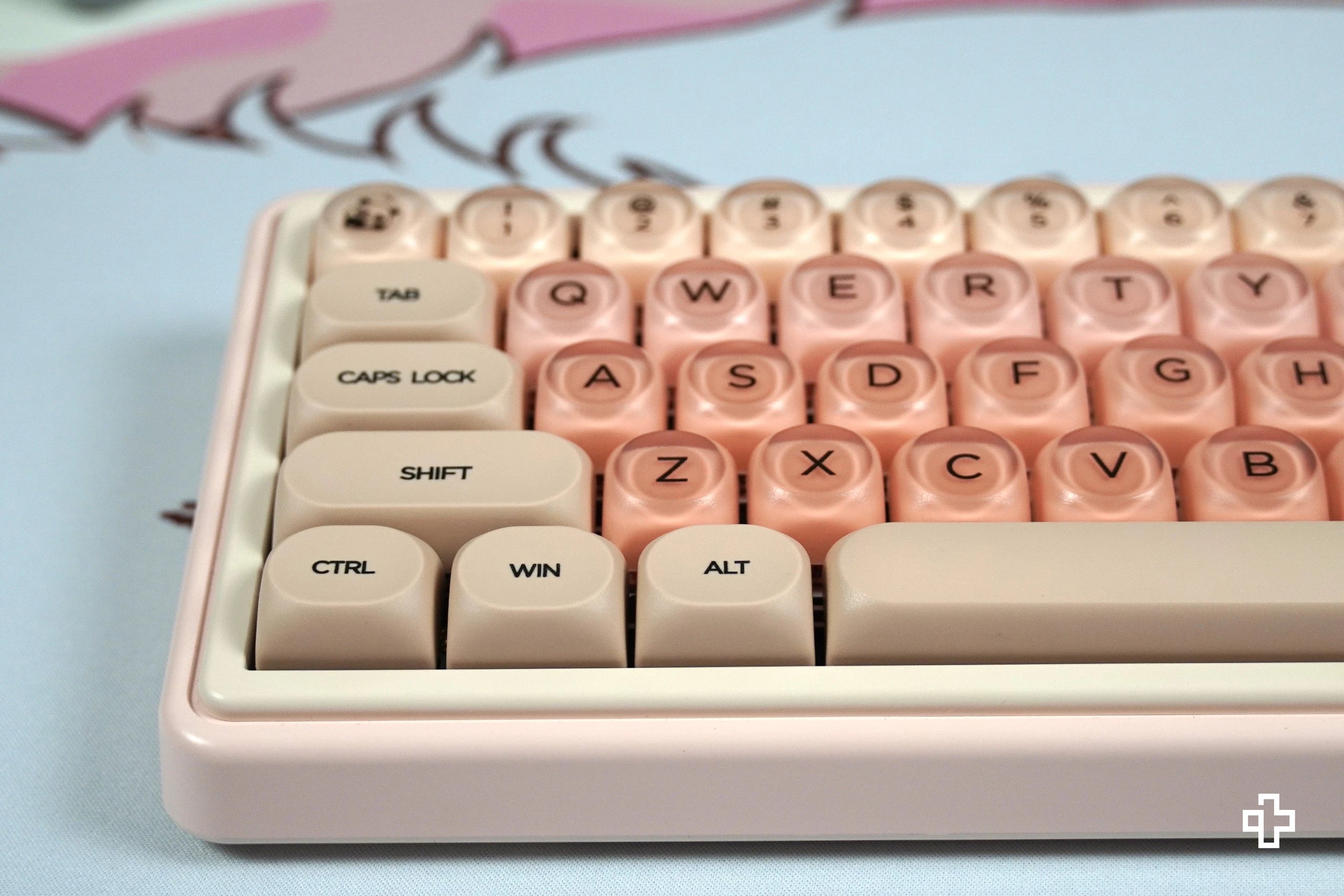 Set de sabor QwertyKey crema de melocotón perfil HOA