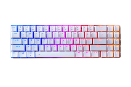 Dareu EK871 Hotswap RGB Mechanical Gaming Keyboard