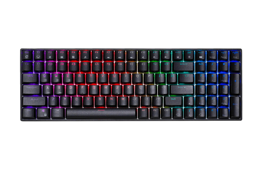 Royal Kludge RK100 Hotswap Black RGB Mechanical Gaming Keyboard