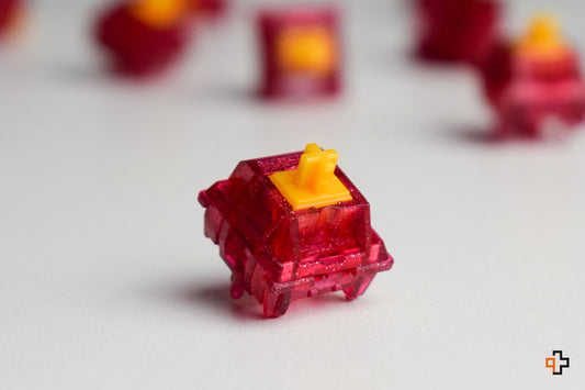 TECSEE Ruby switches