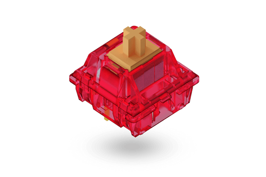 TECSEE Ruby switches
